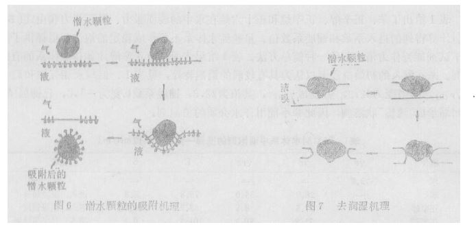 圖6、7.JPG